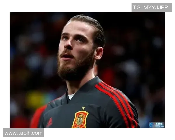 英国足球明星的职业生涯与成就全景回顾与分析